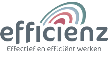 Efficienz logo